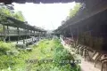 贵州乌江寨国际旅游度假区