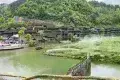 贵州乌江寨国际旅游度假区