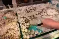 千海水產海鮮火鍋放題