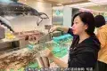 千海水產海鮮火鍋放題