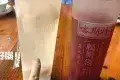 邹胖哥好好吃餐馆(美食街店)