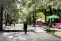 大理崇聖寺