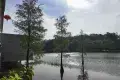 鹿鳴酒家