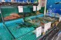 鹿鳴酒家