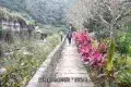 淡蘭古道