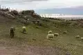 Land's End