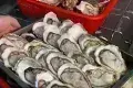 渔天成鲜切牛肉自助火锅丨生蚝(十亩地店)
