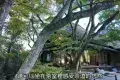 Isuien Garden and Neiraku Museum 依水園・寧楽美術館