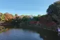 Isuien Garden and Neiraku Museum 依水園・寧楽美術館