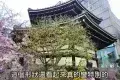 六角堂