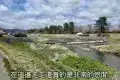 Kamo River 鴨川