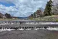 Kamo River 鴨川