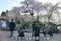 Maruyama Park 圓山公園