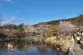 Maruyama Park 圓山公園