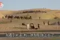 羅布人村寨
