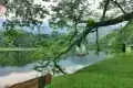 太平湖公園