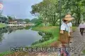太平湖公園