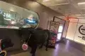 和牛燒肉一郎