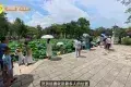 惠州西湖丰渚园
