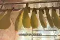艾雷牛扒館