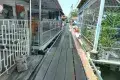 Chew Jetty 姓周橋