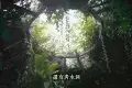 Gunung Mulu National Park 姆魯國家公園