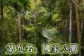 Taman Negara National Park 大漢山國家公園