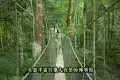 Taman Negara National Park 大漢山國家公園