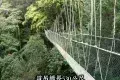 Taman Negara National Park 大漢山國家公園