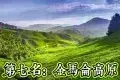 Cameron Highlands 金馬崙高原