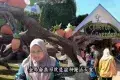 Cameron Highlands 金馬崙高原