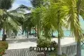Sipadan Island 西巴丹島
