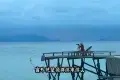 Sipadan Island 西巴丹島