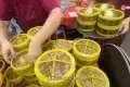 Restoran Zui Le Xuan Dim Sum 巨樂軒