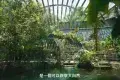 Entopia by Penang Butterfly Farm 蝴蝶公園