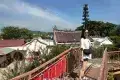 Penang Snake Temple 蛇廟