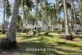 Kampung Agong 阿貢村