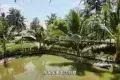 Kampung Agong 阿貢村