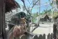 Kampung Agong 阿貢村