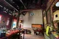 Penang Snake Temple 蛇廟