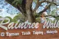 Taiping Lake Gardens 太平湖公園