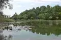Taiping Lake Gardens 太平湖公園