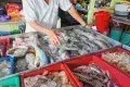Kuala Sepetang 太平十八丁