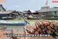 Kuala Sepetang 太平十八丁