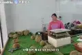 Durian Hill Penang 榴槤山