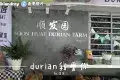 Durian Hill Penang 榴槤山