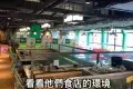 校長燒肉日韓料理