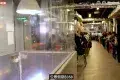 蝦蝦燒