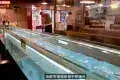 蝦蝦燒