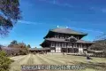 Nara Park 奈良公園